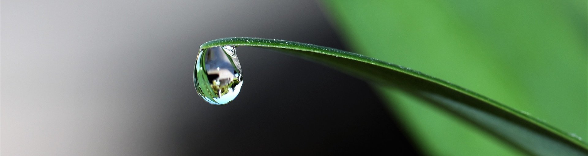 NHK für MBMler:innen