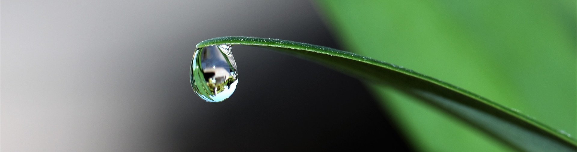 NHK für MBMler:innen